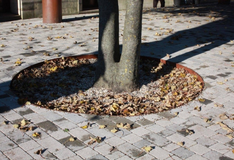 pierścień wokół drzewa z EverEdge Classic cor-ten